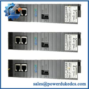 Yokogawa CP451-10