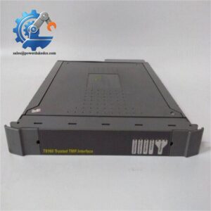 ICS Triplex T8300