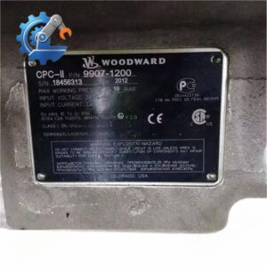 Woodward 9907-1200