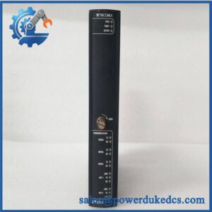Triconex 3201