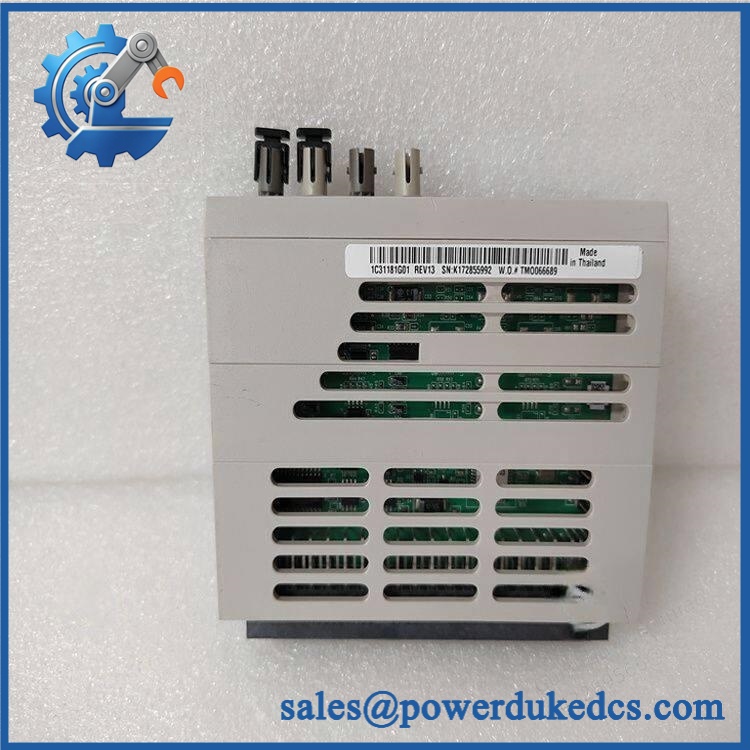 Emerson 1C31181G01